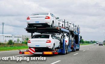 Reasons Why You Should Choose a car shipping service