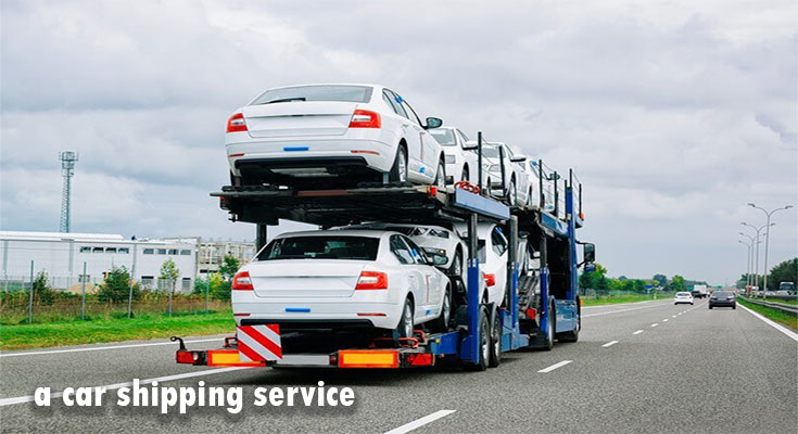 Reasons Why You Should Choose a car shipping service